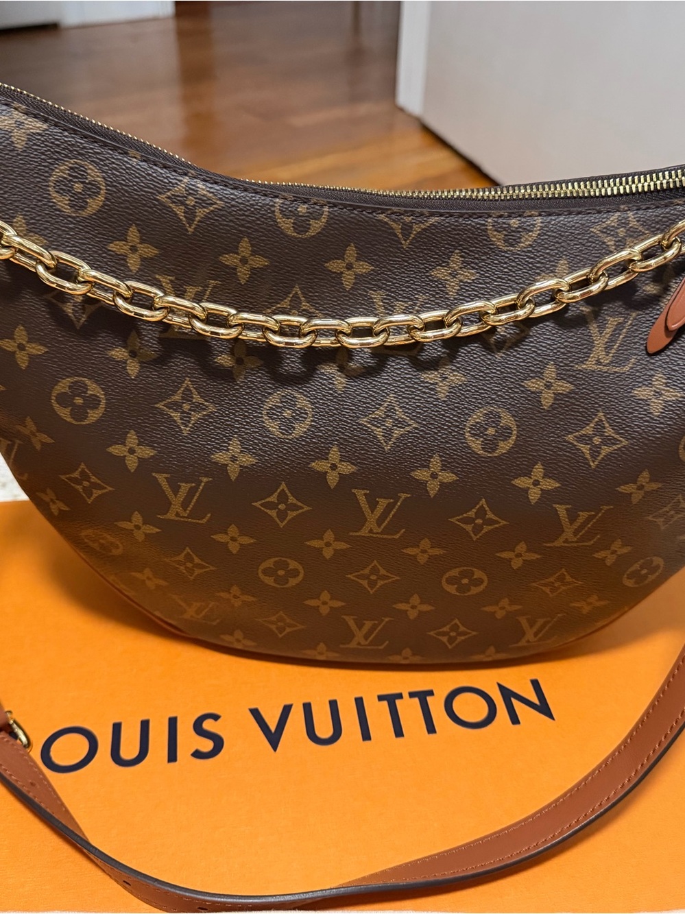Louis Vuitton Loop Hobo